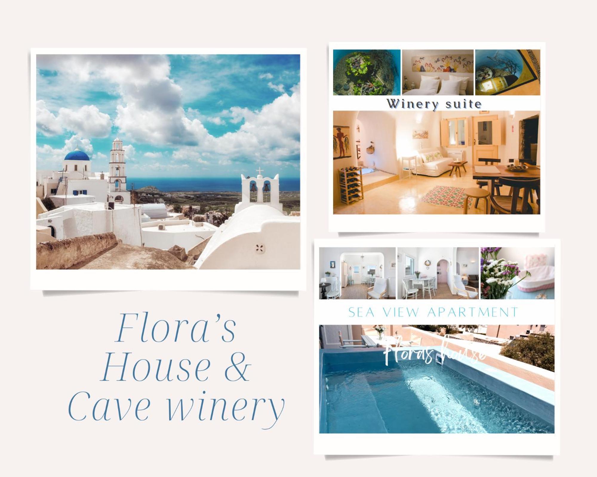 Flora'S House & Cave Winery Villa Pírgosz Kültér fotó